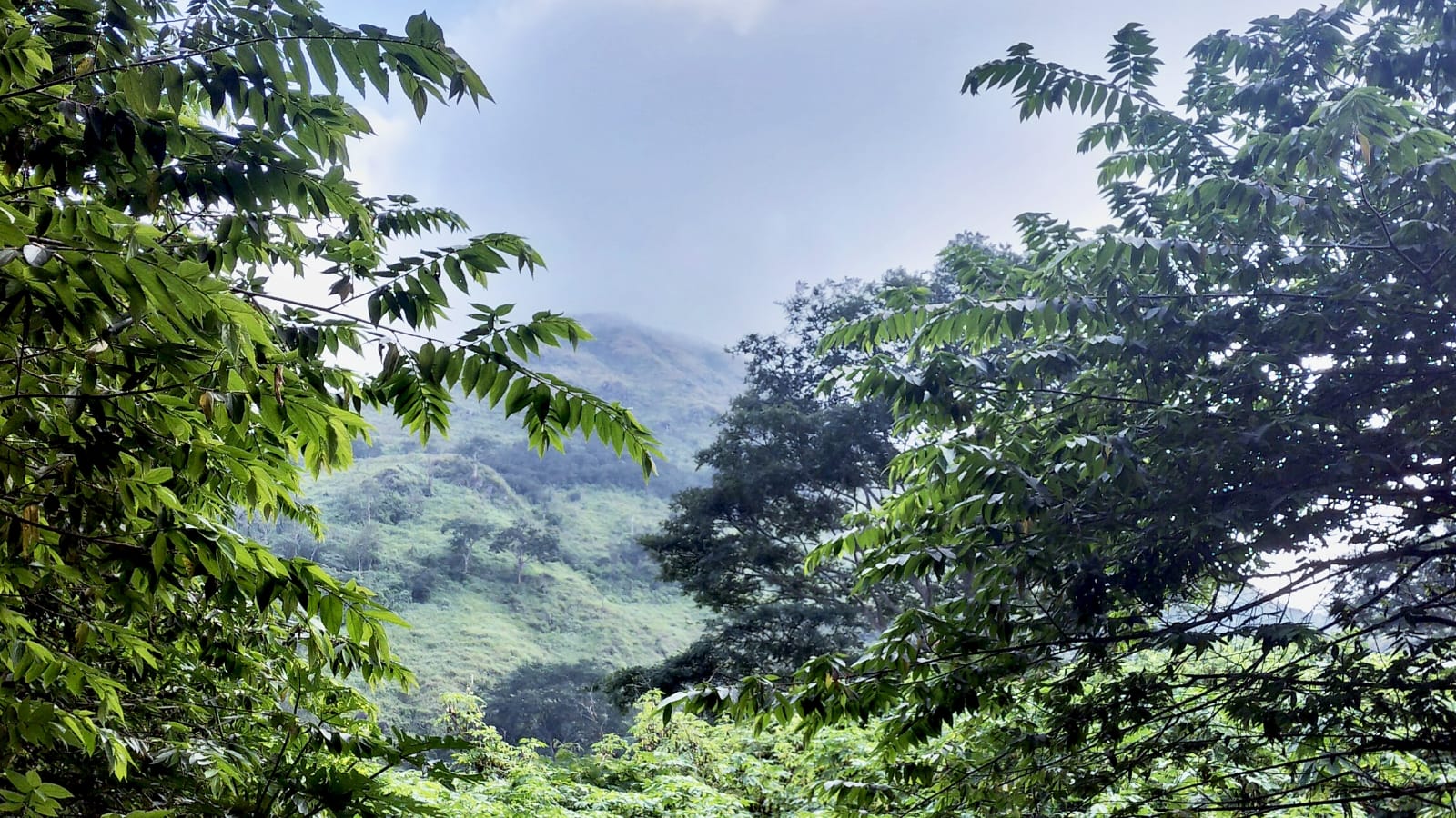 Pendakian Gunung Bekel